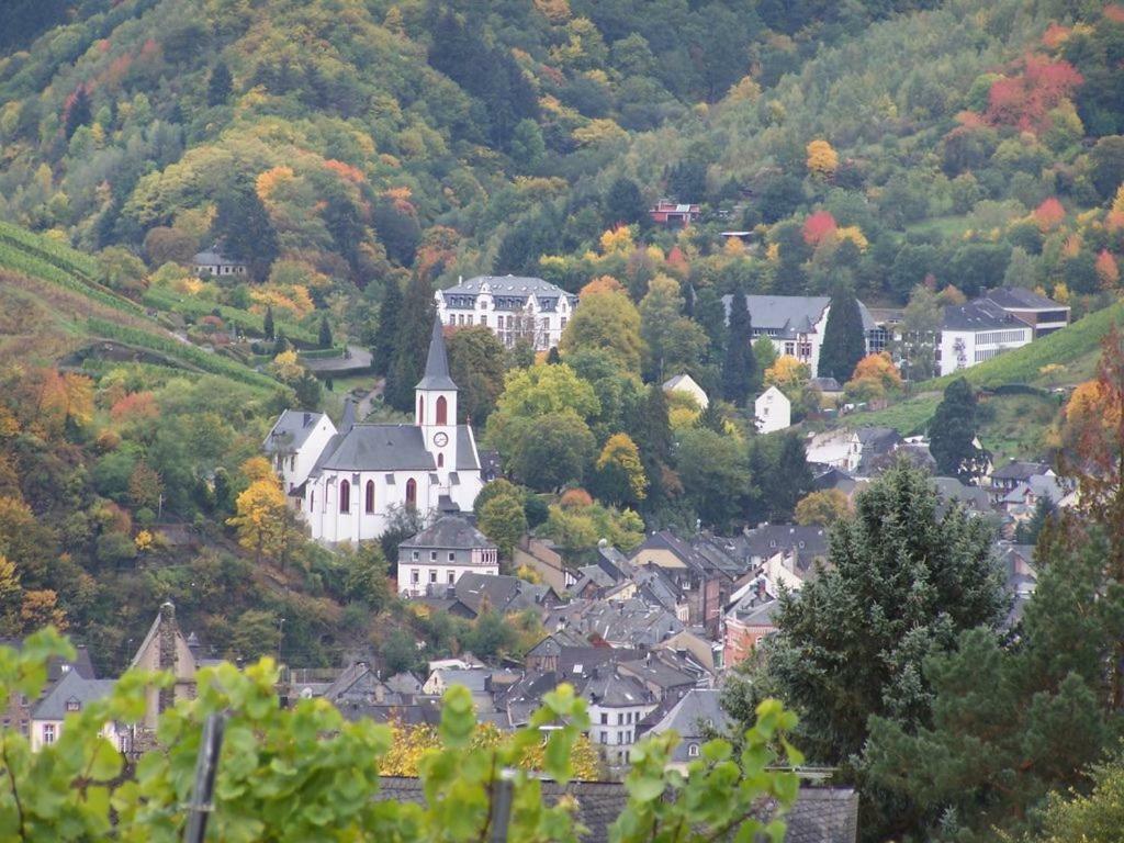Ferienwohnung Daniela Verbandsgemeinde Verbandsgemeinde Traben-Trarbach Buitenkant foto